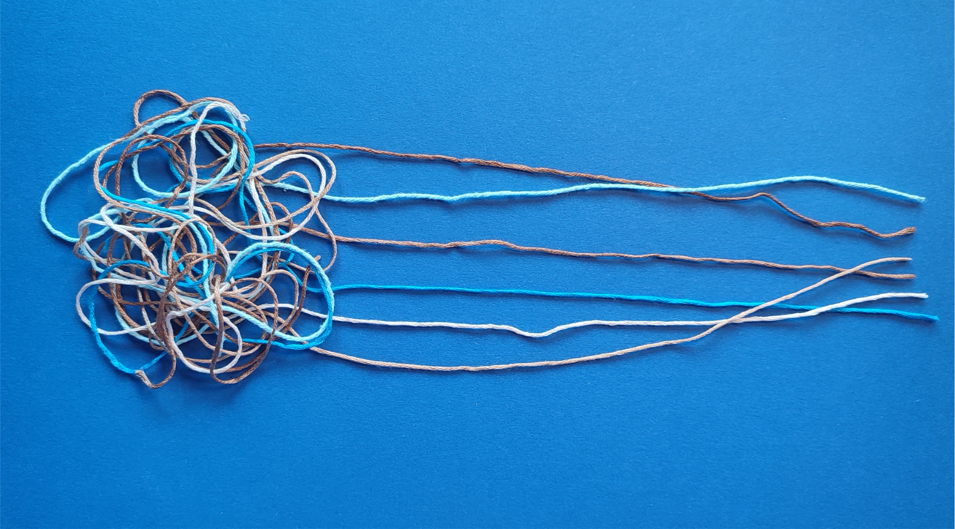 accompagnement premium de cadres et dirigeants